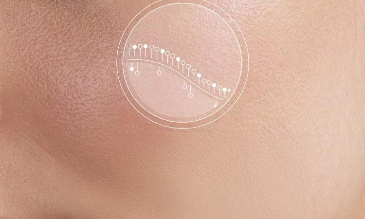 Cilt Bariyeri: Cildinizi Korumak ve Onarmak İçin Bilmeniz Gereken Her Şey