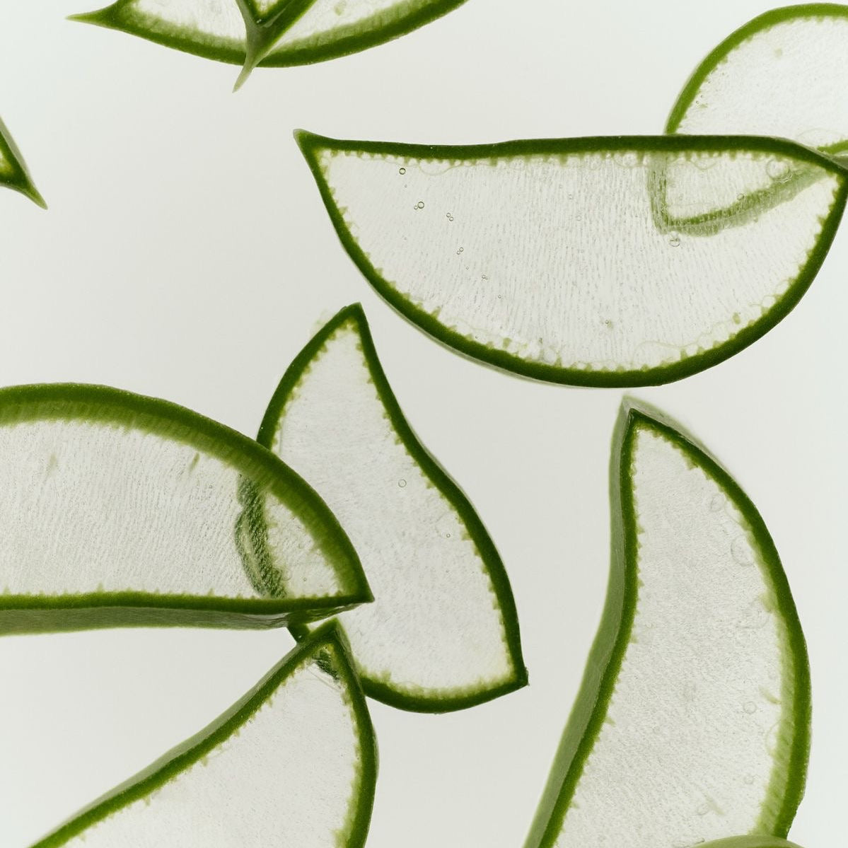 Cilt Bakımında Aloe Vera Kullanımı: Cildinize Doğal ve Etkili Bakım