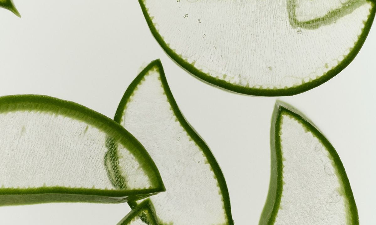 Cilt Bakımında Aloe Vera Kullanımı: Cildinize Doğal ve Etkili Bakım